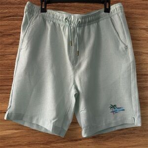 Light Green Casual Shorts with Embroidery
